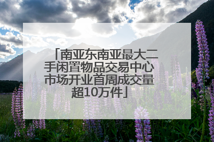 南亚东南亚最大二手闲置物品交易中心市场开业首周成交量超10万件